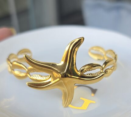 ΒΡΑΧΙΟΛΙ 44453